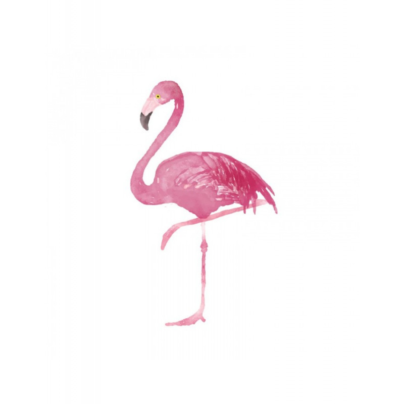 Κούπα Flamingo