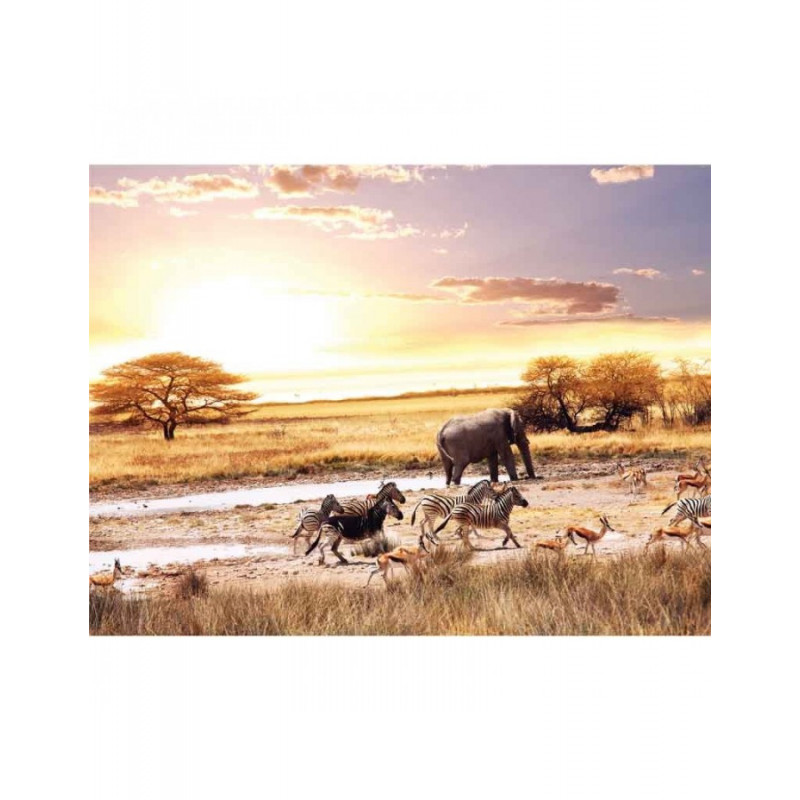 Πίνακας σε καμβά Ζώα της Αφρικής