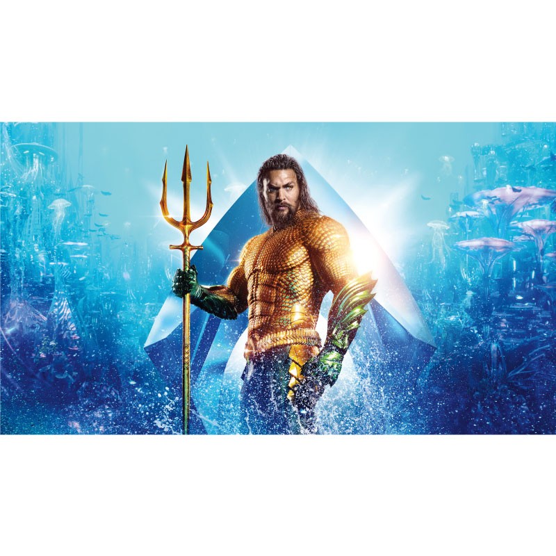 Πίνακας σε καμβα Aquaman