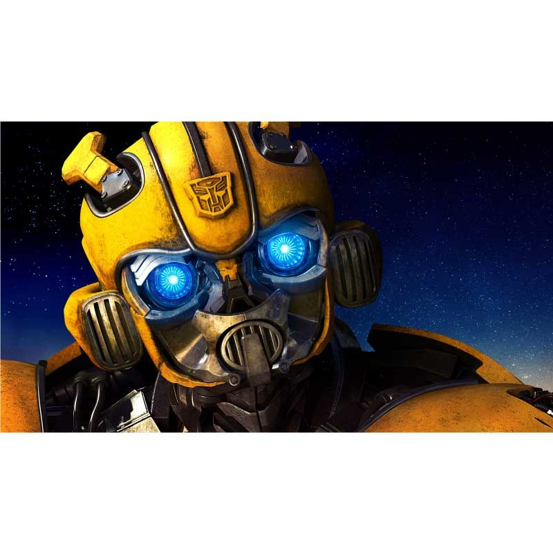 Πίνακας σε καμβά   Bumblebee