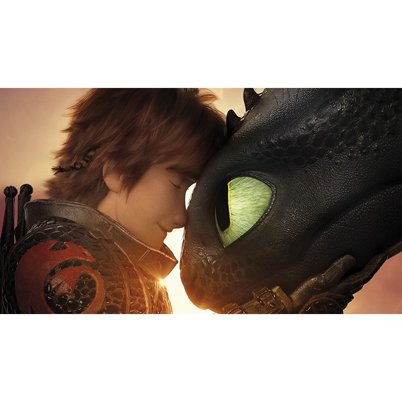 Πίνακας σε καμβά How to Train Your Dragon