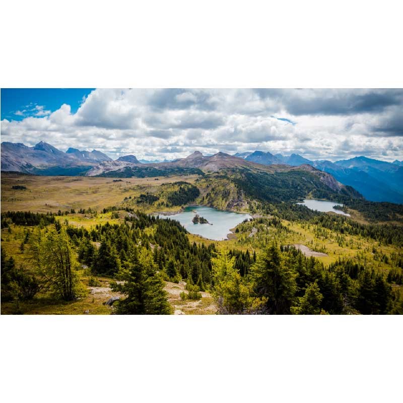 Πίνακας σε καμβά  Landscape