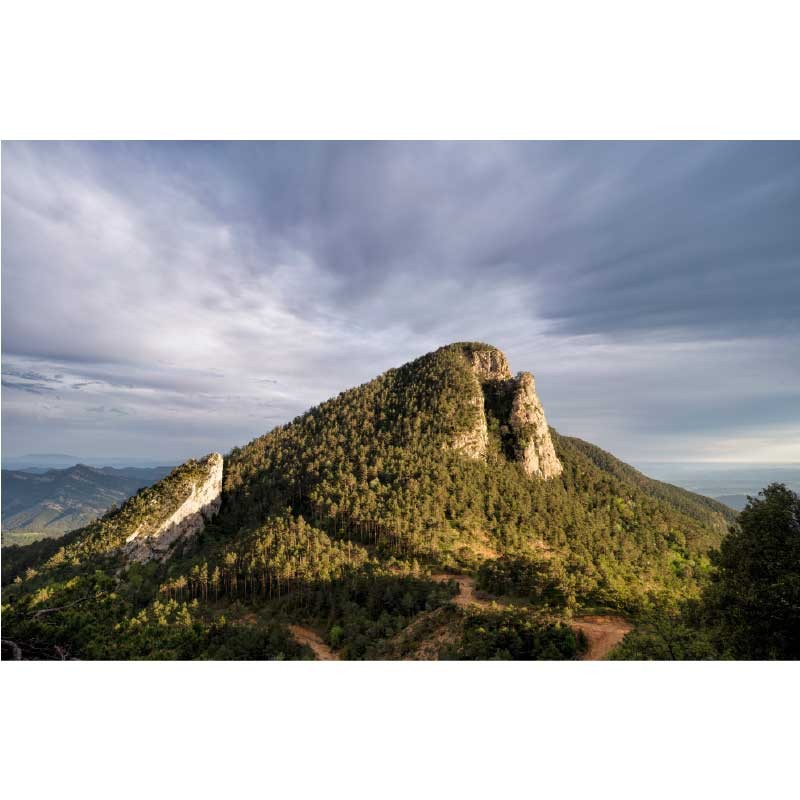 Πίνακας σε καμβά  Landscape 3 