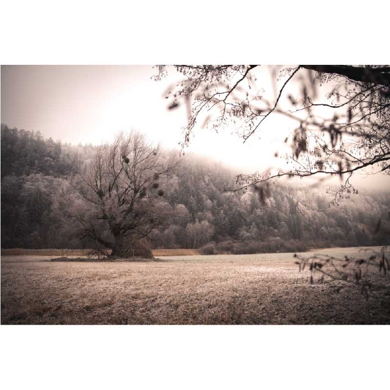 Πίνακας σε καμβά  Landscape 5 