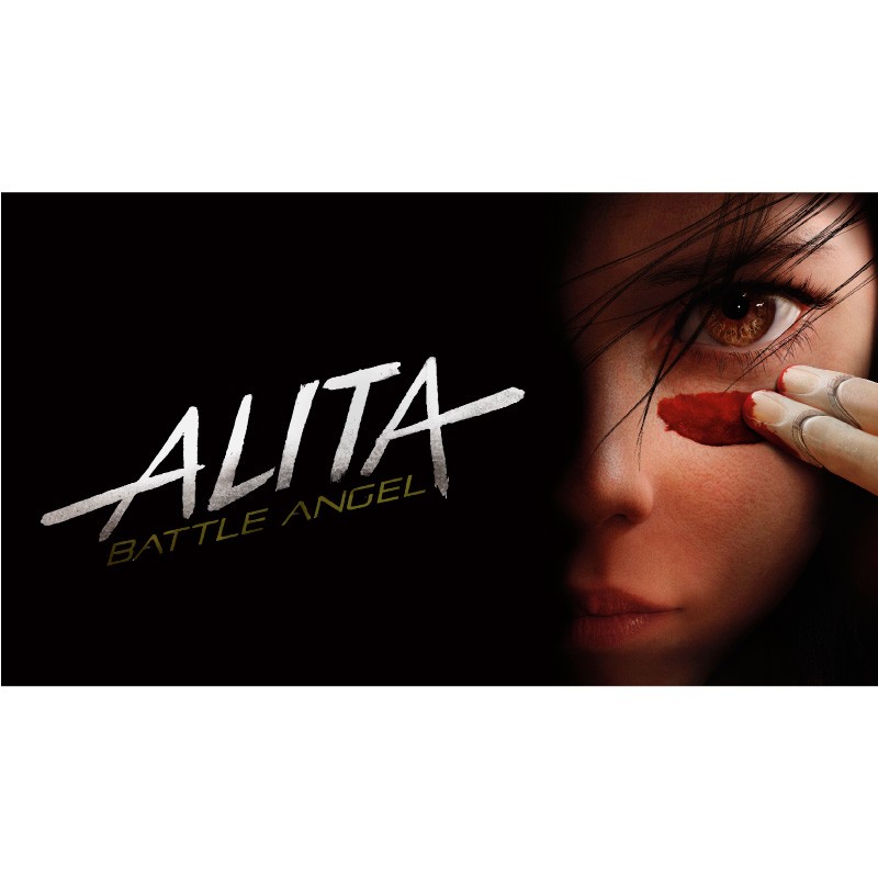 Πίνακας σε καμβά  Ο Άγγελος της Μάχης-Alita The Battle Angel 2