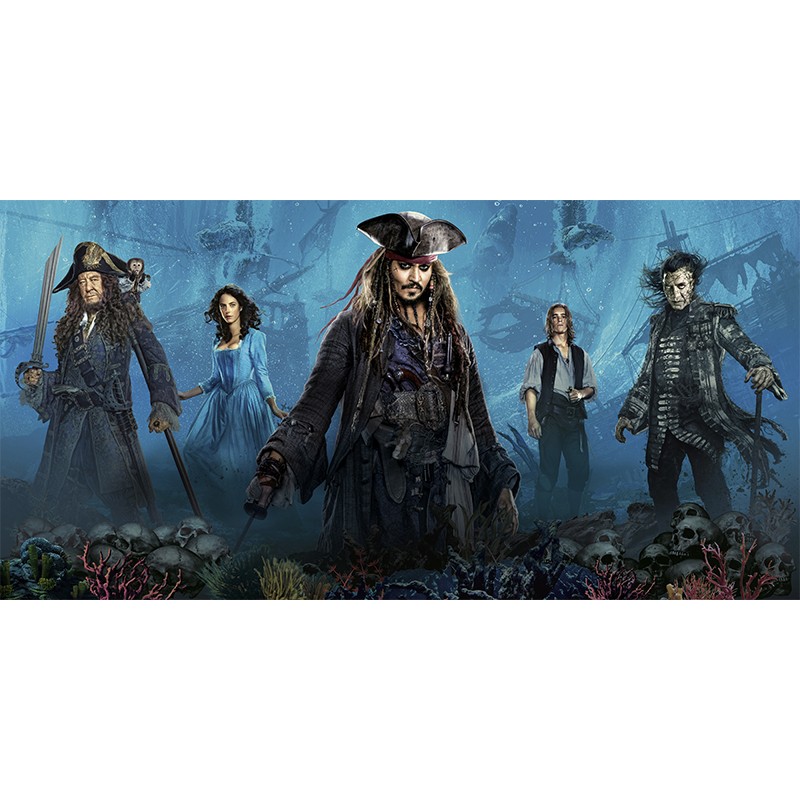 Πίνακας σε καμβα   Pirates Of The Caribbean