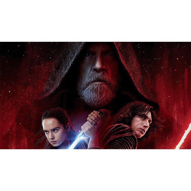 Πίνακας σε καμβά   Star Wars- The Last Jedi