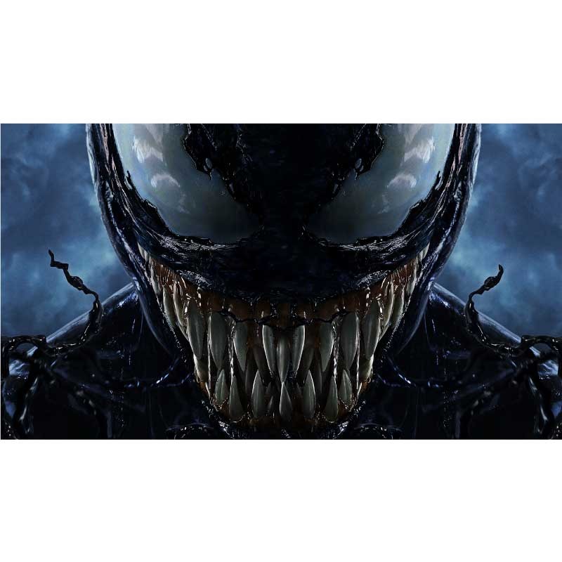 Πίνακας σε καμβά Venom