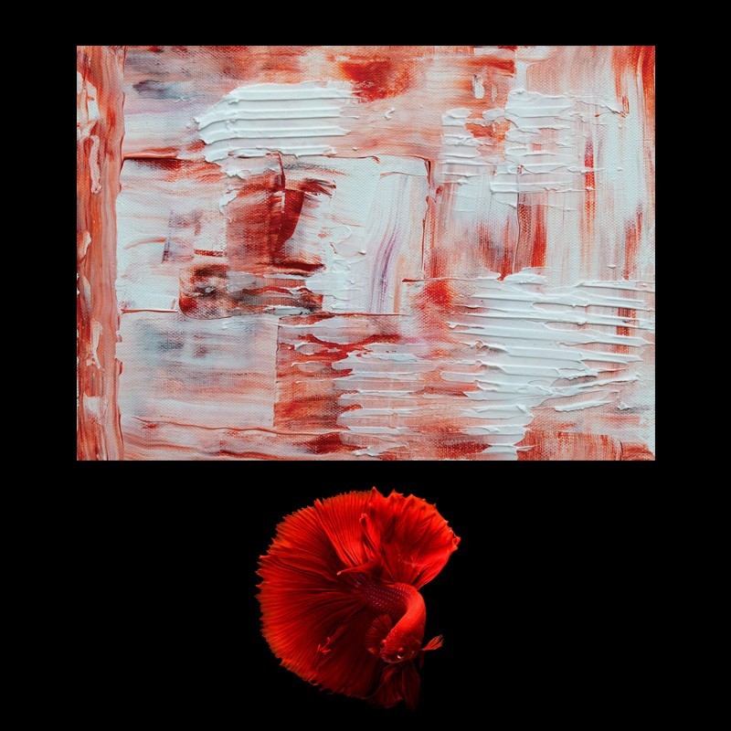 Πίνακας σε καμβά Abstract 5