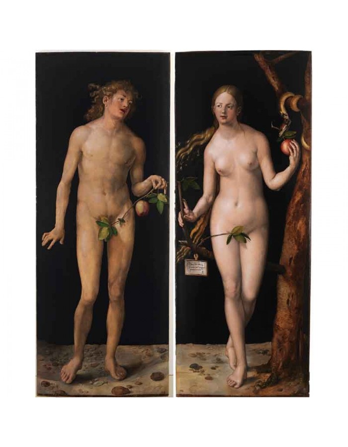 Πίνακας σε καμβά Albrecht Dürer - Adam and Eve