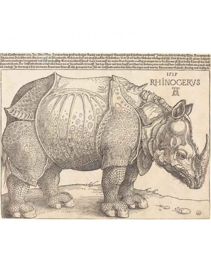 Πίνακας σε καμβά Albrecht Dürer - The Rhinoceros