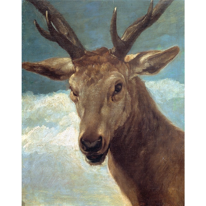 Πίνακας σε καμβά Diego Velázquez - Head of a Buck