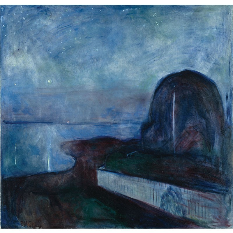 Πίνακας σε καμβά Edvard Munch - Starry Night