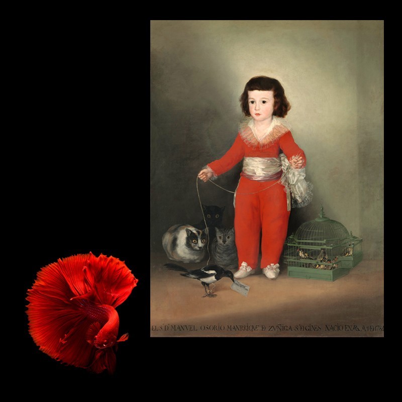 Πίνακας σε καμβά Goya - Don Manuel Osorio Manrique de Zunica