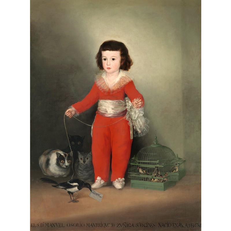 Πίνακας σε καμβά Goya - Don Manuel Osorio Manrique de Zunica