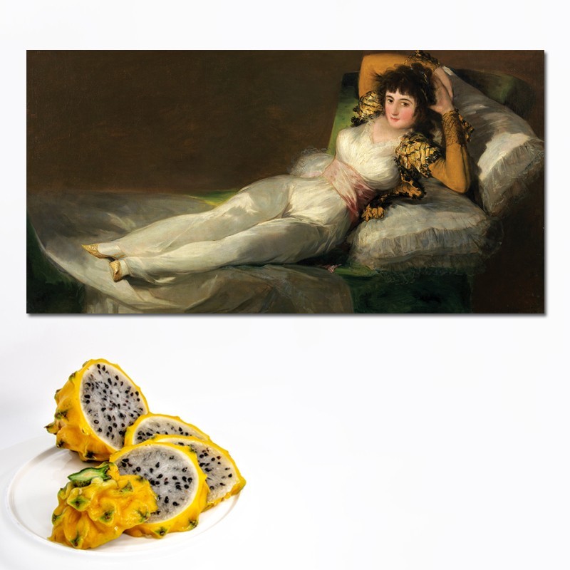 Πίνακας σε καμβά Goya - Maja Vestida