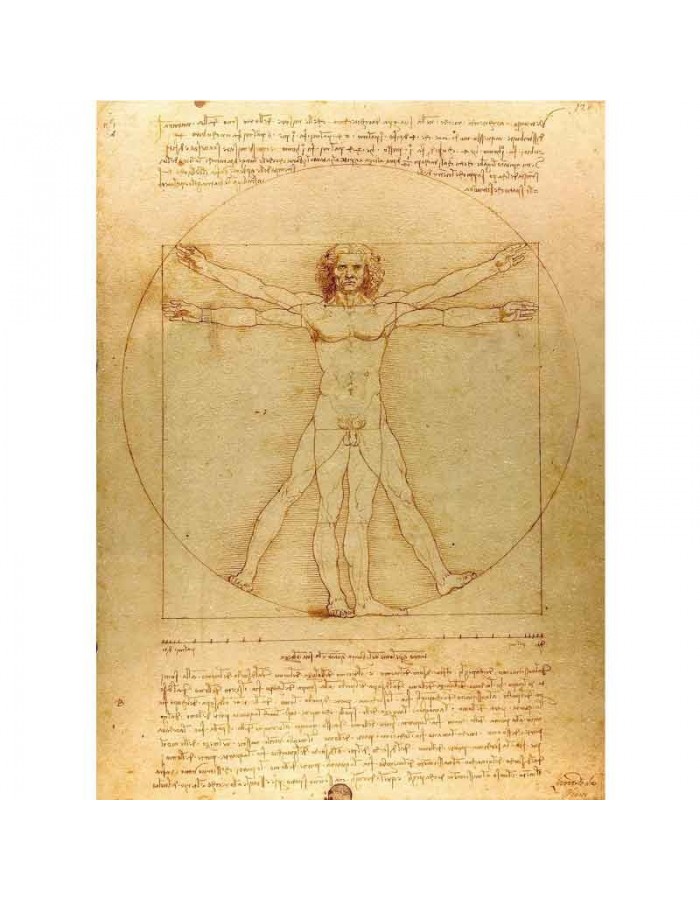 Πίνακας σε καμβά Leonardo Da Vinci - The Vitruvian Man