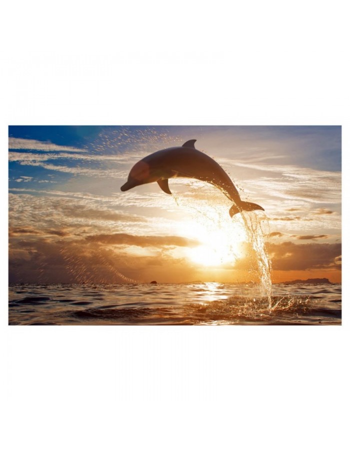Πίνακας σε καμβά με Θάλασσα με δελφίνι στο ηλιοβασίλεμα