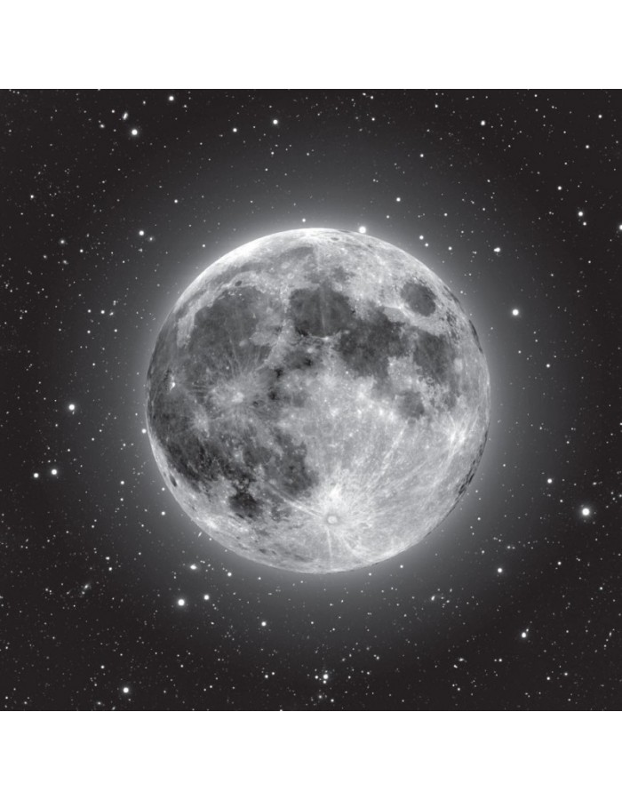 Πίνακας σε καμβά με διάστημα με ασπρόμαυρη σελήνη