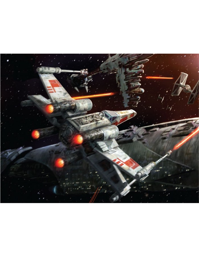 Πίνακας σε καμβά με διάστημα X-wing