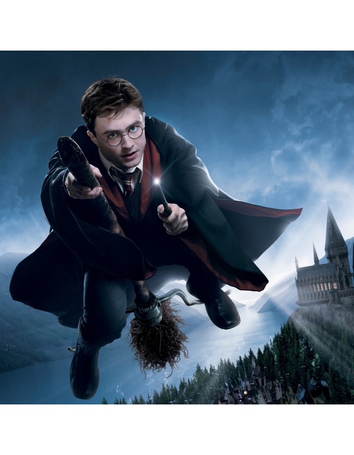 Πίνακας σε καμβά με Κινηματογράφο Harry Potter Quidditch