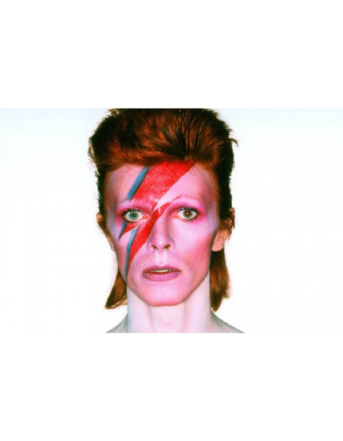 Πίνακας σε καμβά με μουσική David Bowie David Bowie Portrait