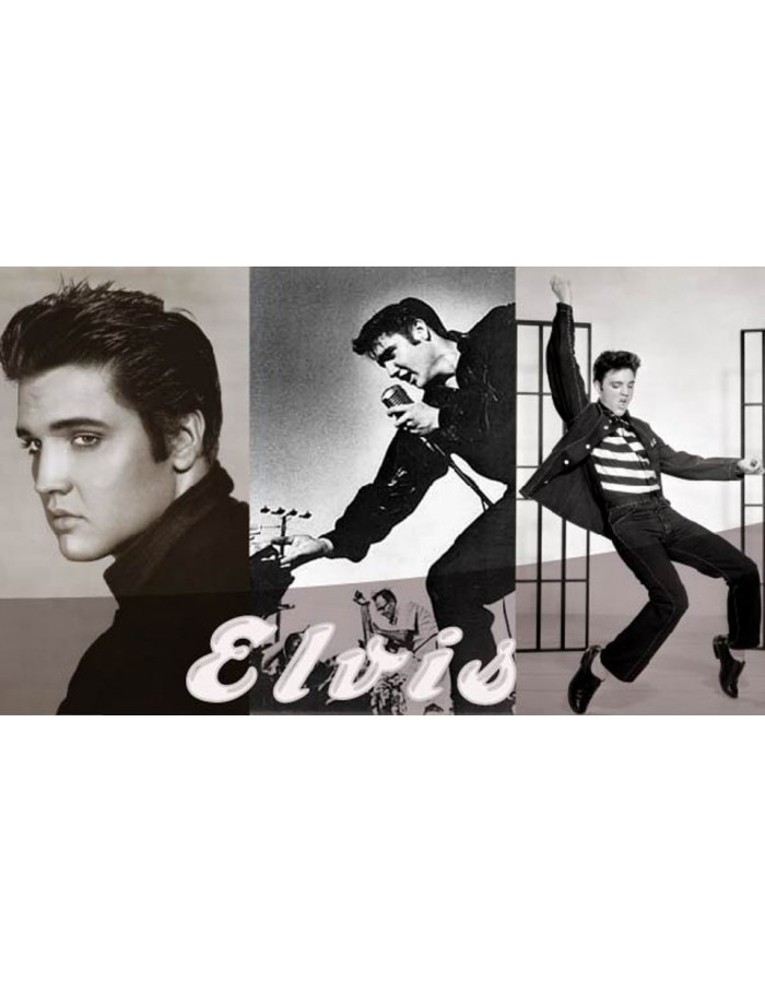 Πίνακας σε καμβά με Μουσική Elvis on stage