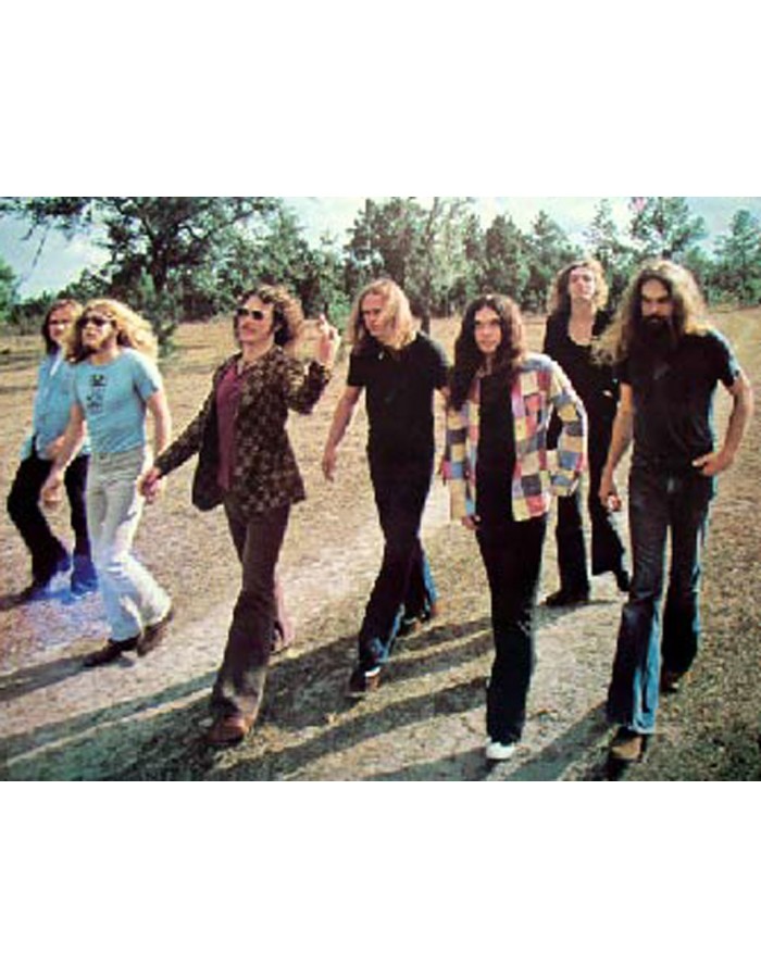 Πίνακας σε καμβά με μουσική Lynyrd Skynyrd