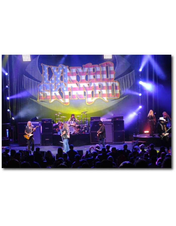 Πίνακας σε καμβά με μουσική Lynyrd Skynyrd Live on stage