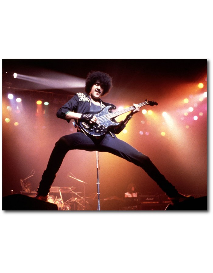 Πίνακας σε καμβά με μουσική Thin Lizzy