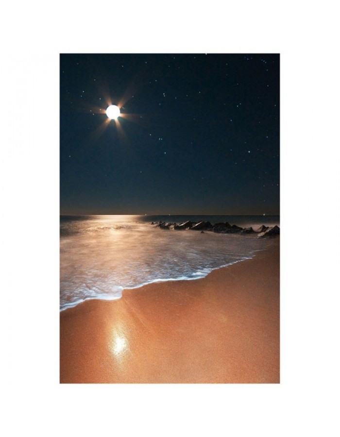 Πίνακας σε καμβά με Τοπία Φεγγάρι στη θάλασσα