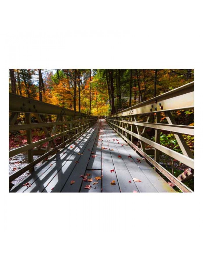 Πίνακας σε καμβά με Τοπία Γέφυρα σε φθινοπωρινό δάσος
