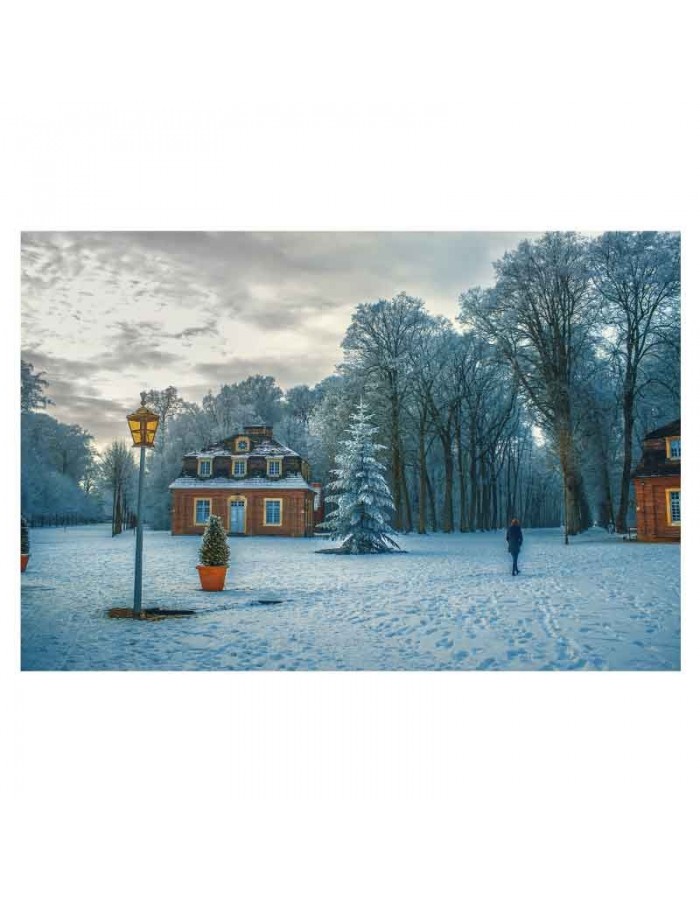 Πίνακας σε καμβά με Τοπία Σπίτι στο χιόνι