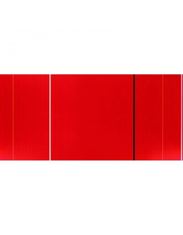 Πίνακας σε καμβά με Ζωγραφική Barnett Newman vir heroicus sublimis