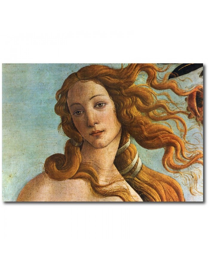 Πίνακας σε καμβά με Ζωγραφική του Boticelli Venus