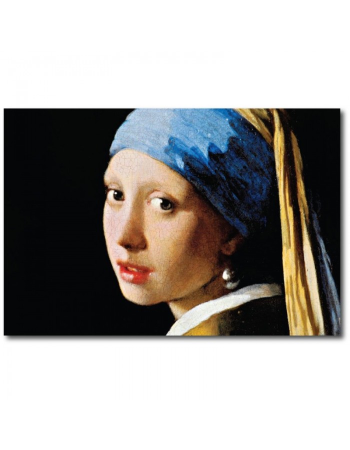 Πίνακας σε καμβά με Ζωγραφική Vermeer