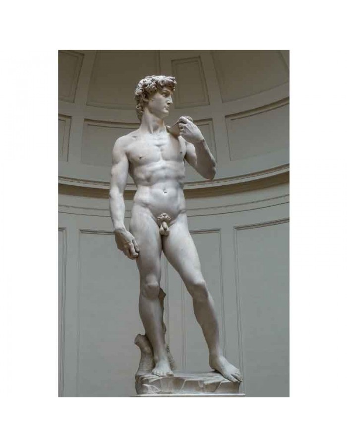 Πίνακας σε καμβά MichelAngelo Buonarroti - David