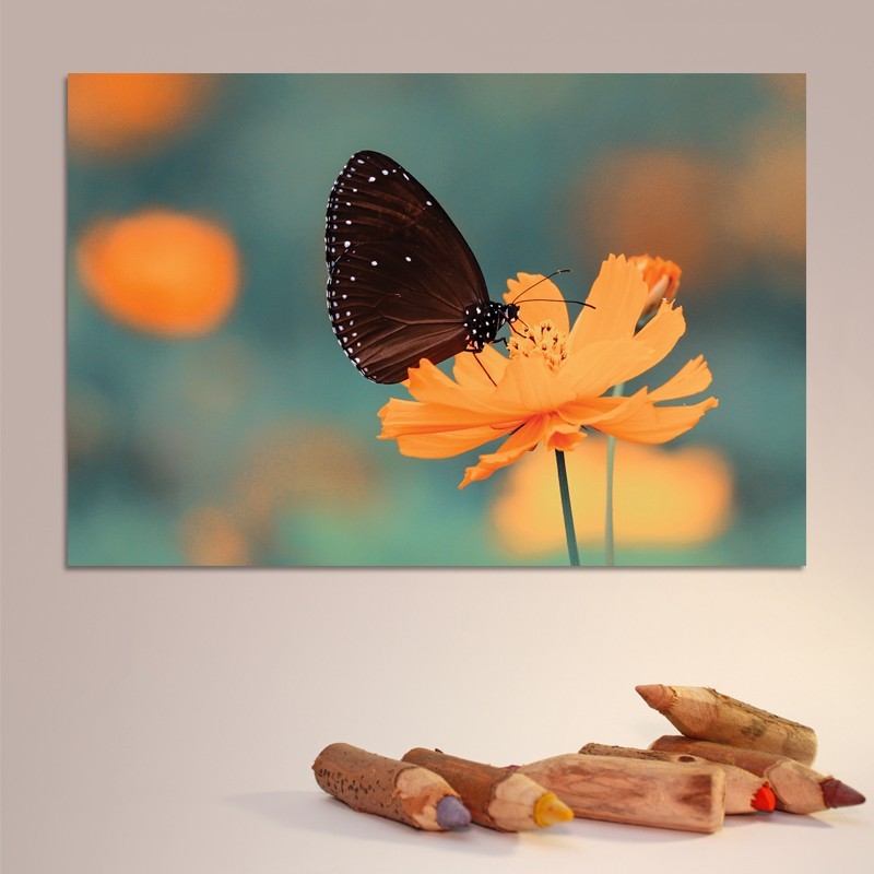 Πίνακας σε καμβά Πεταλούδα σε Λουλούδι