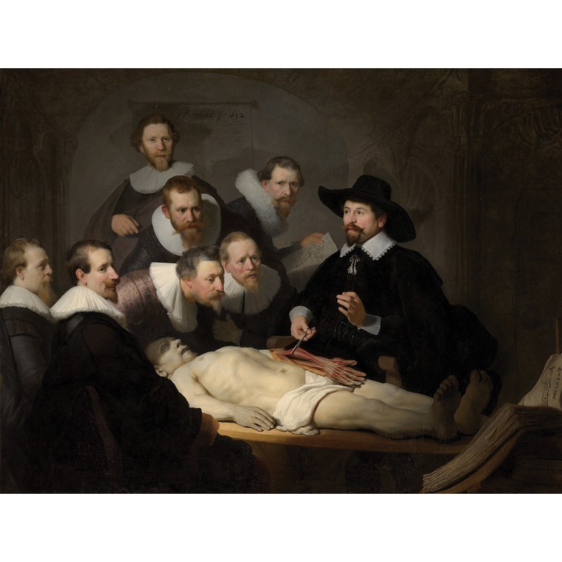 Πίνακας σε καμβά Rembrandt - The Anatomy Lesson of Dr Nicolaes Tulp