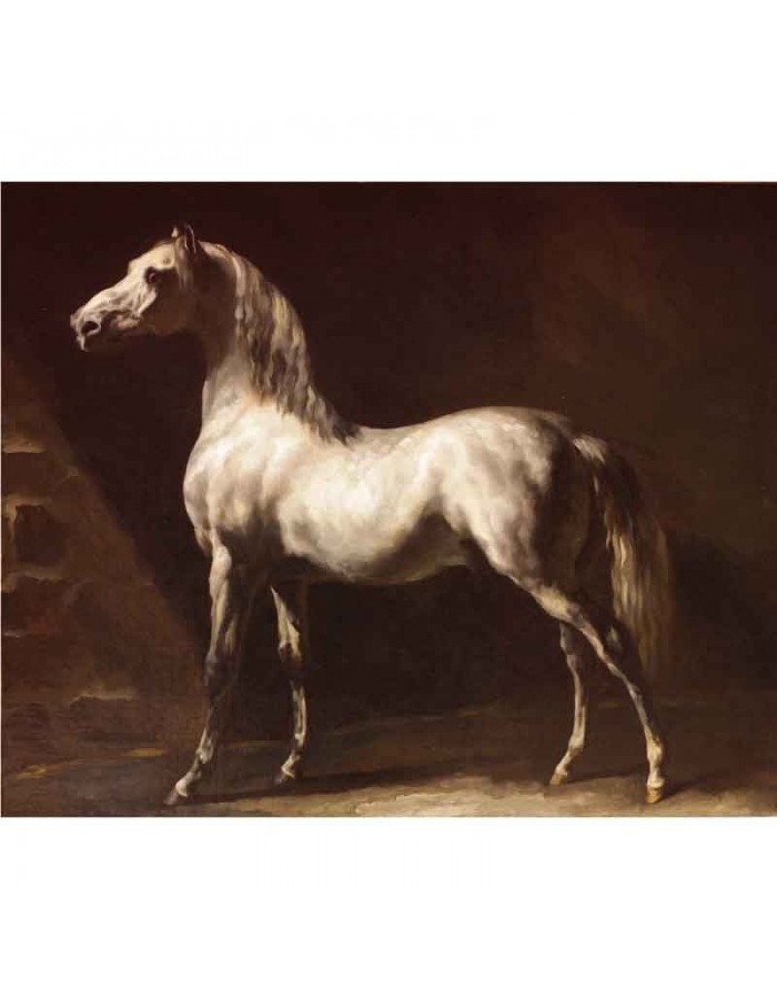 Πίνακας σε καμβά Théodore Géricault - White Arabian Horse - 1824