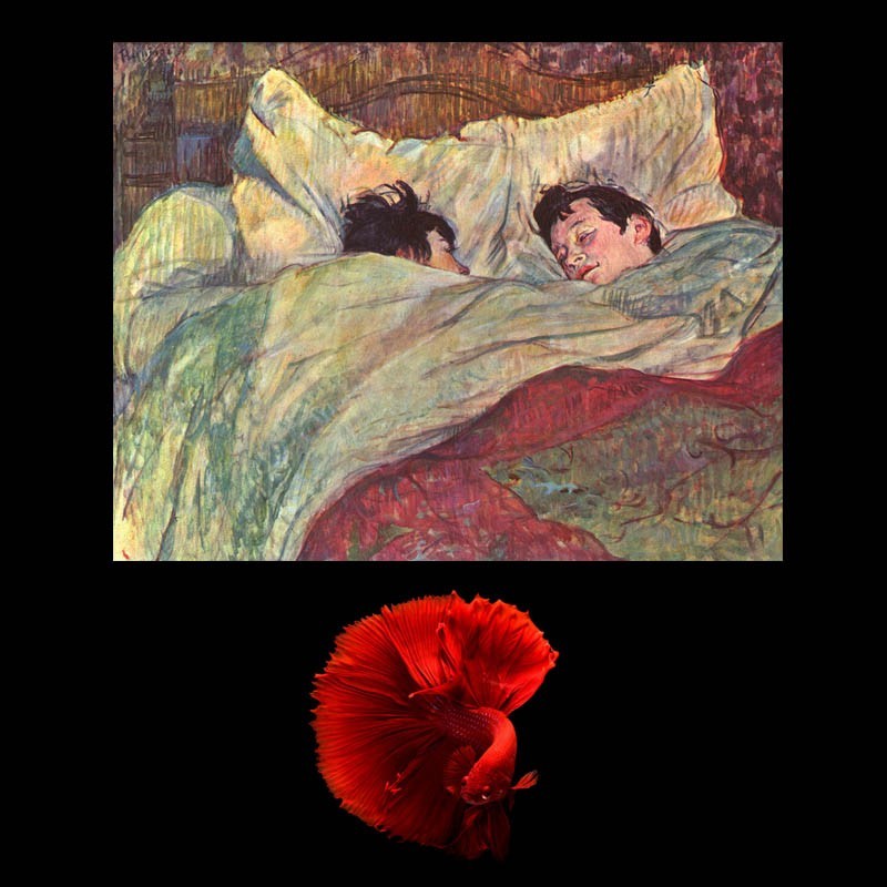 Πίνακας σε καμβά Toulouse Lautrec - in Bed