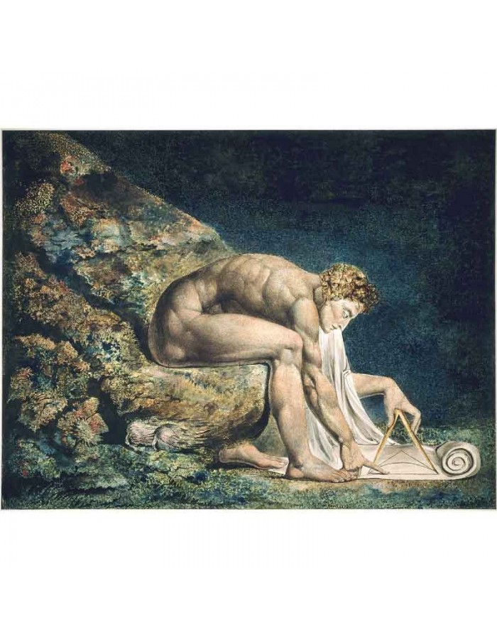Πίνακας σε καμβά William Blake - Newton - 1795