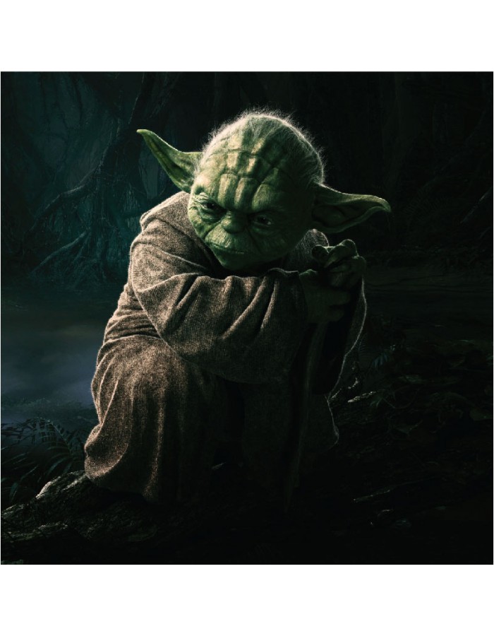 Πίνακας σε καμβά Yoda
