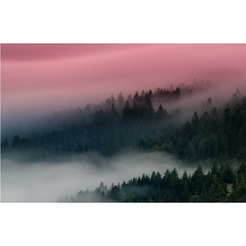 Ταπετσαρία Κόκκινη ομίχλη
