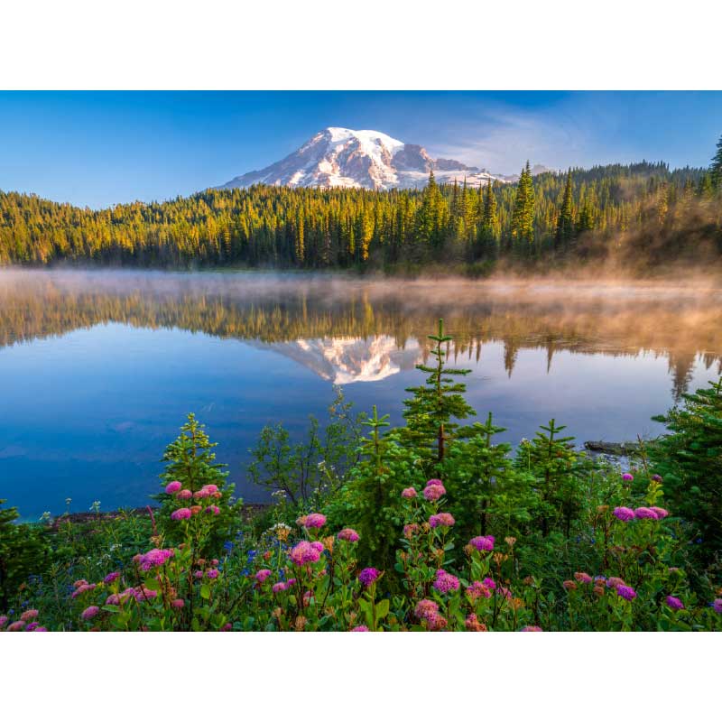 Ταπετσαρία Mount Rainier