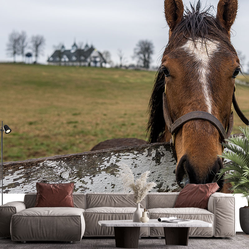 Ταπετσαρία τοίχου Horse